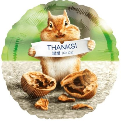 Thank You Chipmunk - Giv en ballon