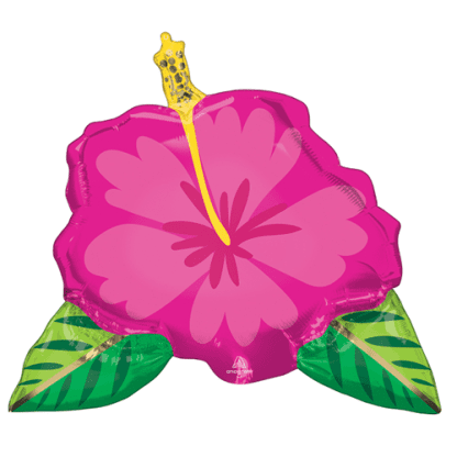 Tropisk hibiscus