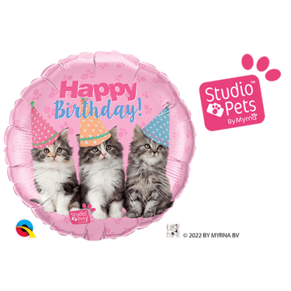 Birthday kittens